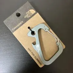 新品　ザノースフェイス　カラビナ　グレー　日本未発売のサムネイル