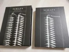 ARCHIVES(完全限定生産BOX) SCHAFT BUCKTICK 今井寿