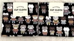 Item thumbnail for item c1c4b9f5-a09a-4b25-9331-816a35f5ee98