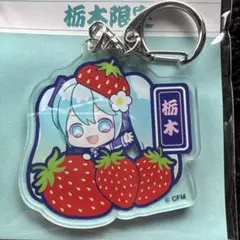 Item thumbnail for item 1b7bcf5c-7661-4a50-bb2e-ec79fa9407d8