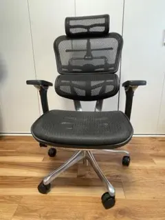 エルゴヒューマンプロ2