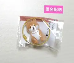 わんこのタイムカプセル