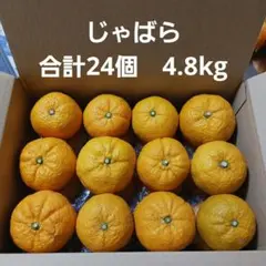 じゃばら　合計24個　4.8kg　送料込み　３
