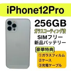 ⭐️美品⭐️ iPhone 12 Pro 256GB シルバー SIMフリー