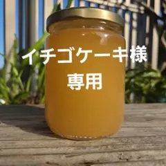 イチゴケーキ様専用　日本蜜蜂の純粋天然生百花蜜サラサラ琥珀蜜300g