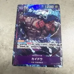 ワンピースカード 世界最強の戦士 カイドウ SR パラレル OP17-062