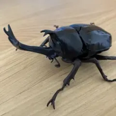 寿司ちゃむ プロフ必読様 リクエスト 2点 まとめ商品