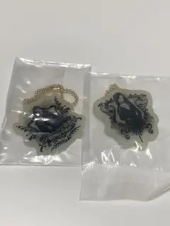 ハリーポッターアクリルチャームコレクション　デスイーター　ベラトリックス