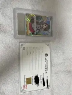 お*こ様 ポケモンカード ユウリ SR ARS鑑定10+のサムネイル