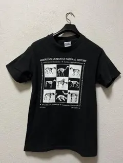 80s　アメリカ自然史博物館　恐竜の骨プリント　半袖Tシャツ　/S　ブラック　黒