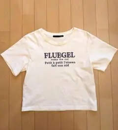 Item thumbnail for item 6e662733-967d-40ec-a2fa-2e0f2649a6fa