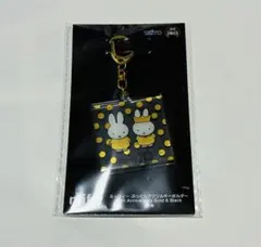 Item thumbnail for item 77160d24-16b8-4150-9413-3cd1c11346ce