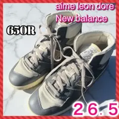 aime leon dore × New balance 650r silver