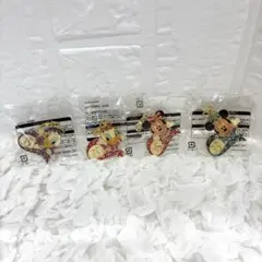 東京ディズニーリゾート　35周年　チャームセット