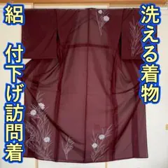 KN4655 絽 付下げ訪問着 身丈153.5cm 洗える着物 夏着物 化繊 - メルカリ