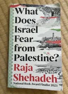 what does israel fear from palestine
