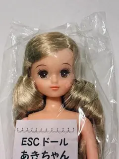 2026年最新】リカちゃんキャッスルあきちゃんの人気アイテム - メルカリ