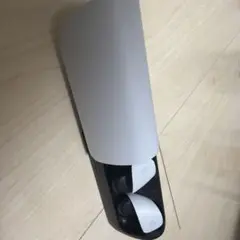 ワイヤレスイヤホン ホワイト/ブラック