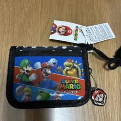 Item thumbnail for item 16fb1235-b722-47d5-9ed3-5f2518b8679c