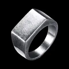 【B027】リング　メンズ　レディース　シルバー　アクセサリー　印台　20号のサムネイル