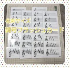 Item thumbnail for item ff50e76a-cf16-49cf-9f45-194d7ca96cde