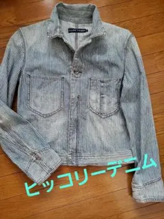 ラルフローレン　ヒッコリーデニムのジャケット　身幅４６のサムネイル