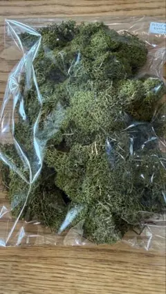 えいちゃん様 リクエスト 2点 まとめ商品