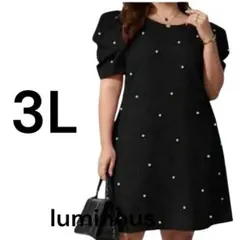 QW1 大きいサイズ ワンピース チュニック 3L レディース トップスH7