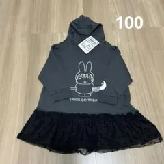 Item thumbnail for item d8f6018e-ed5e-4233-8ec8-57118bad7d1f