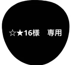 ☆★16様　専用