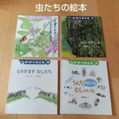 かがくのとも 雑木林の虫たちの絵本 ヤママユ カブトムシ ハンミョウ