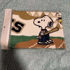 Item thumbnail for item 9a309ce3-e3b8-48ca-9bac-219505ddb3ae