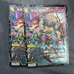 時空の停滞シュタイヴァル 停滞の覚醒者シュタイヴェルト