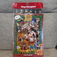 ディズニー 30周年限定 クリスマスファイル