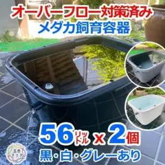 メダカ飼育ケース 56㍑x8個 白黒灰あり オーバーフロー加工済み 五色アクア メダカ飼育ケース 56㍑x4個 白黒灰あり オーバーフロー加工済 金魚容器