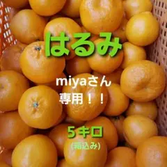 miyaさん専用！！　☆はるみみかん☆　5キロ(箱込み)　広島県産　家庭用