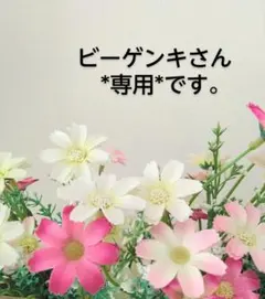 ビーゲンキ様 リクエスト 3点 まとめ商品
