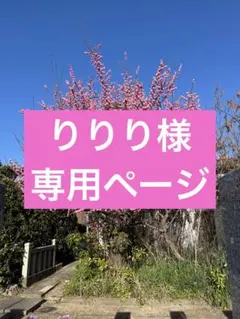 りりり様　専用ぺーじ