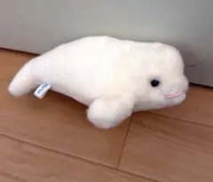흰돌고래 벨루가 봉제인형 약 20cm