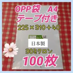 Item thumbnail for item 3455b742-089f-49cc-ac30-5003015d0b44