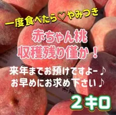 桃　赤ちゃん桃　大人気　お得な２キロ 早い者勝ち