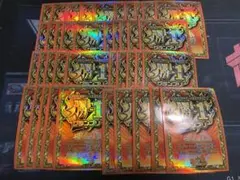 新品未開封　2009年製　太陽の龍王　デュエルマスターズ　旧公式　スリーブ 新品未開封 2009年製 太陽の龍王 デュエルマスターズ 旧公式