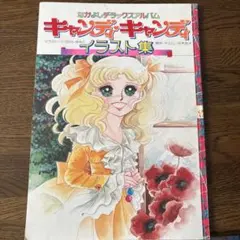 2025年最新】当時 キャンディ キャンディの人気アイテム - メルカリ