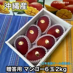 農家直送】宮崎完熟マンゴー 9玉(約3.5kg) - メルカリ