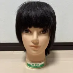 2026年最新】練習用カットウィッグの人気アイテム - メルカリ