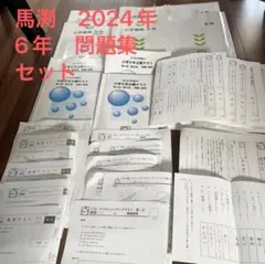 Item thumbnail for item 6d5ca7c4-18ed-4239-9ce4-272c9f587586