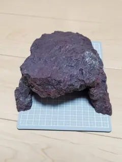 Item thumbnail for item 119310e9-3987-4904-9ab7-7bfe4214c006