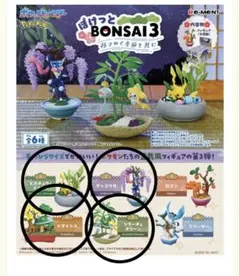 ぽけっとBONSAI3-移りゆく季節と共に- 4種セットのサムネイル