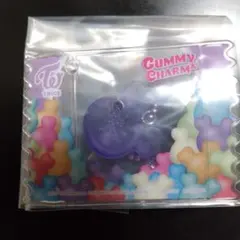 TWICELOVELYSグミ＆チャーム ポーチつき サナ