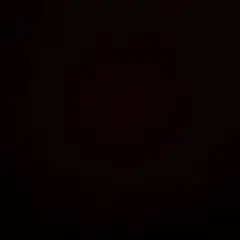 タコ様専用